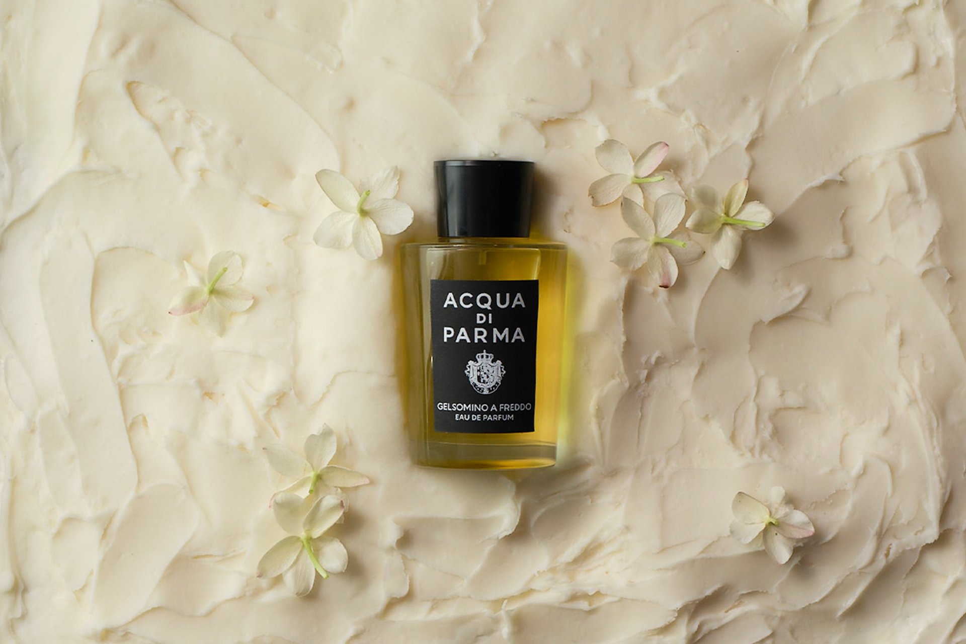 Gelsomino A Freddo